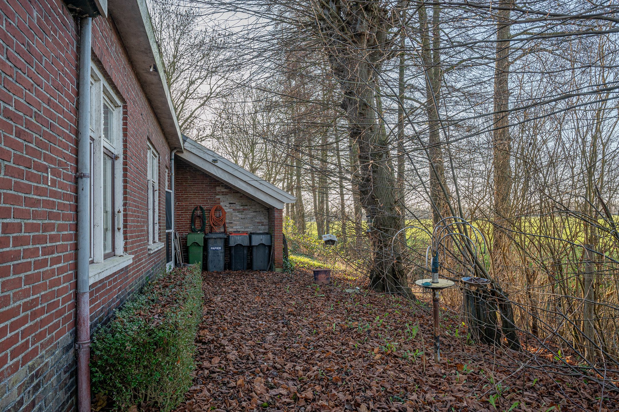 Foto 48 van Goldhoorn 25