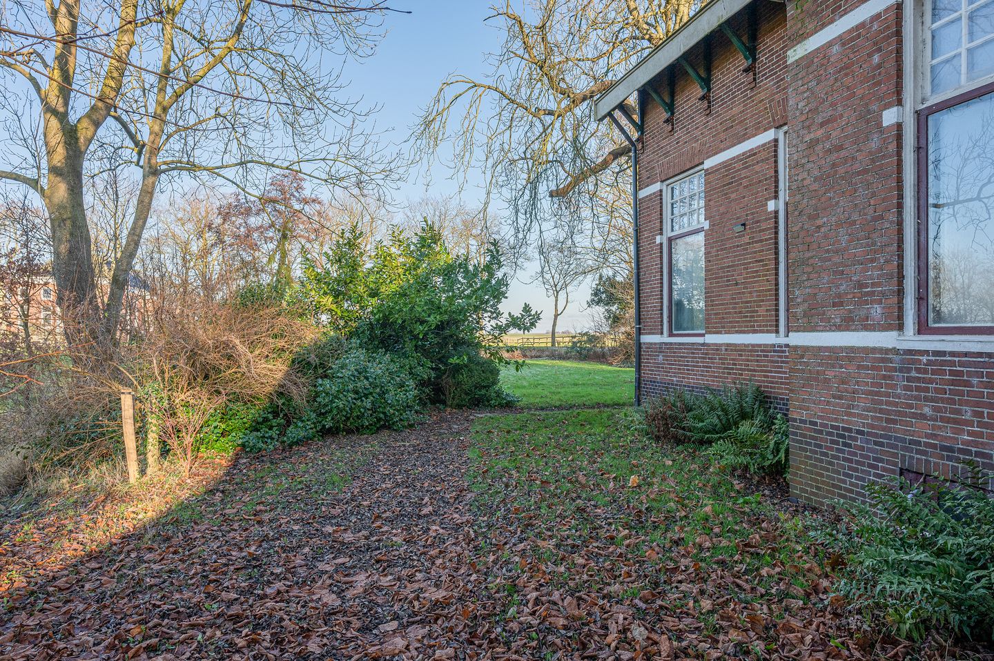 Foto 49 van Goldhoorn 25