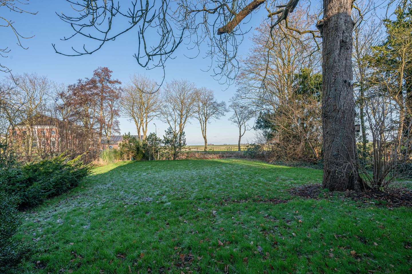 Foto 50 van Goldhoorn 25