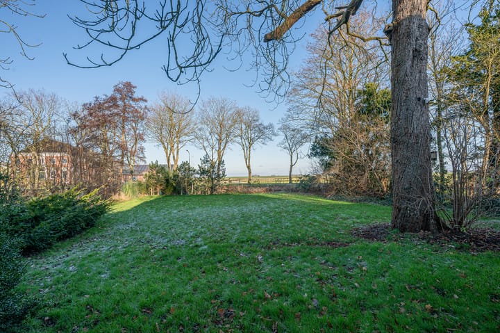 Foto 50 van Goldhoorn 25