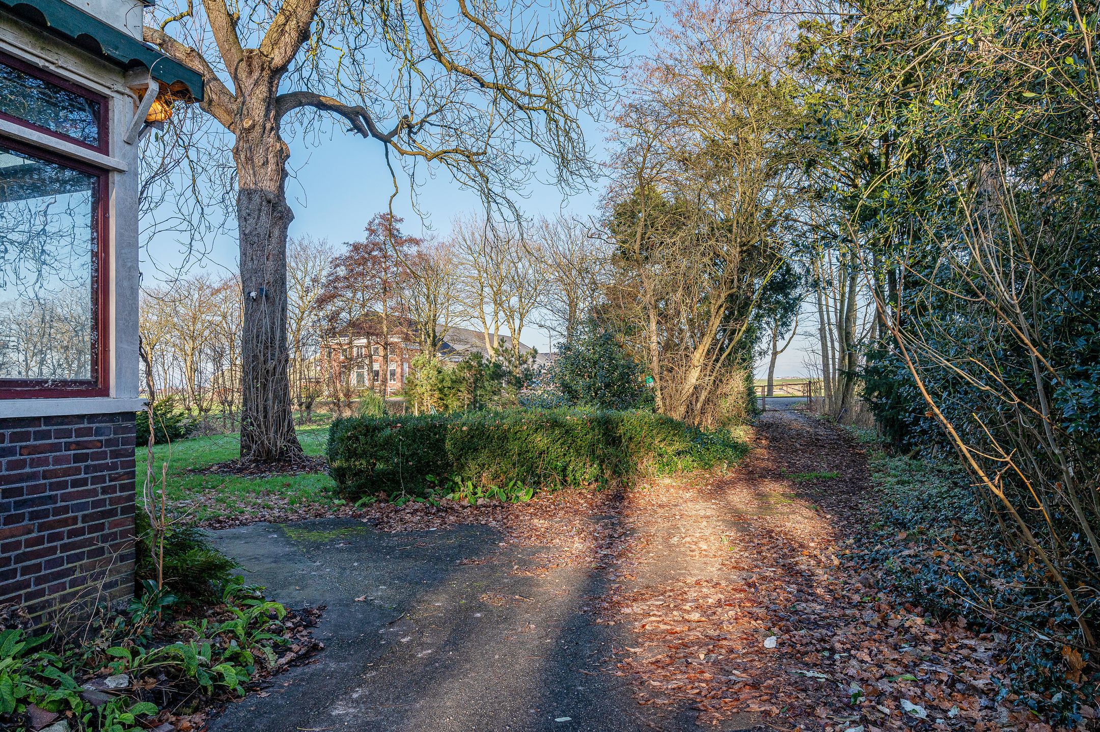 Foto 51 van Goldhoorn 25