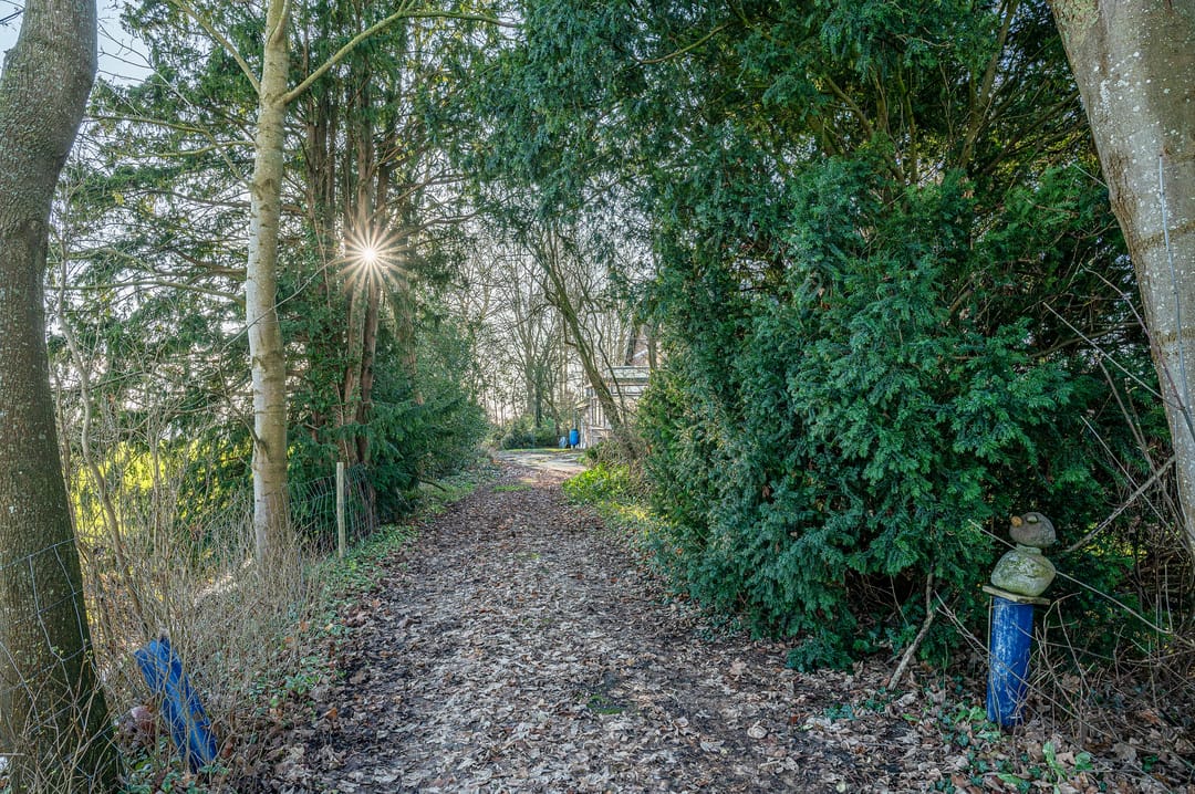 Foto 52 van Goldhoorn 25