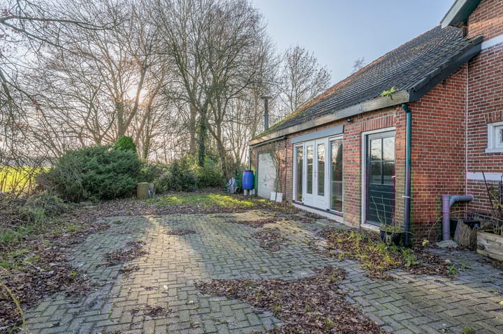 Foto 53 van Goldhoorn 25