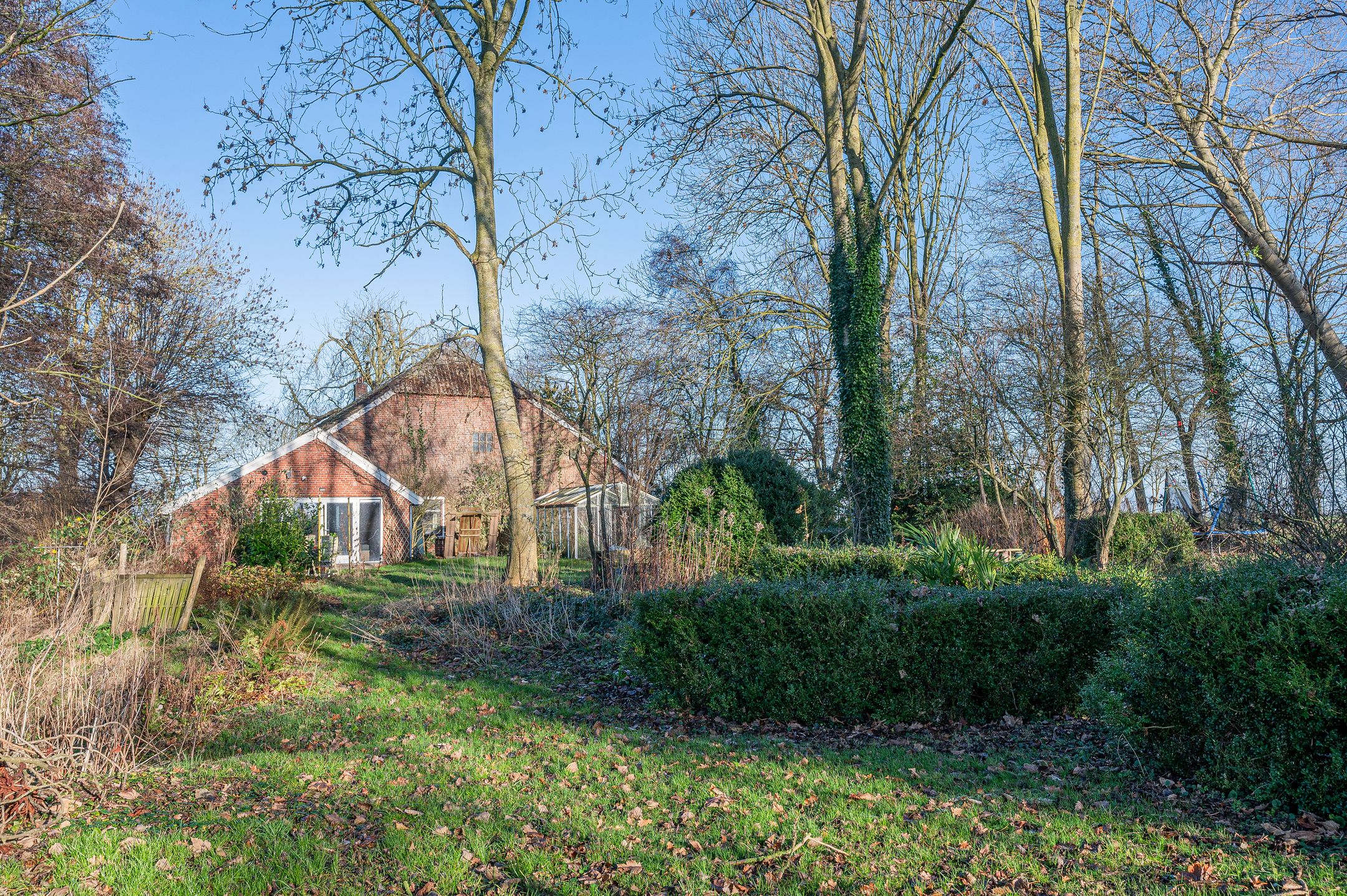 Foto 57 van Goldhoorn 25