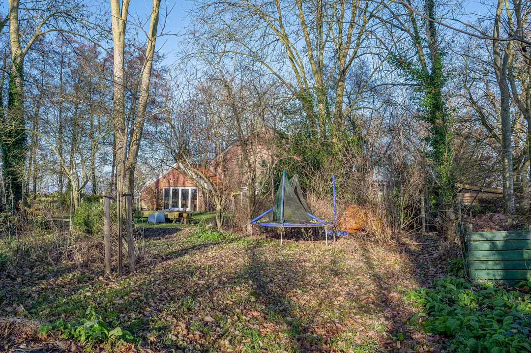 Foto 58 van Goldhoorn 25