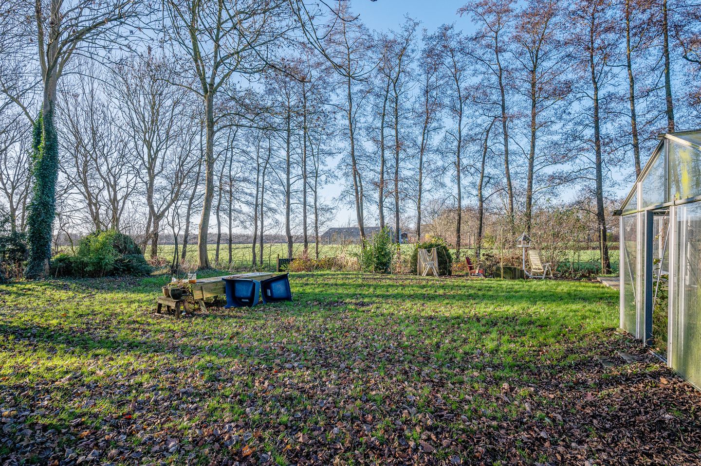 Foto 59 van Goldhoorn 25