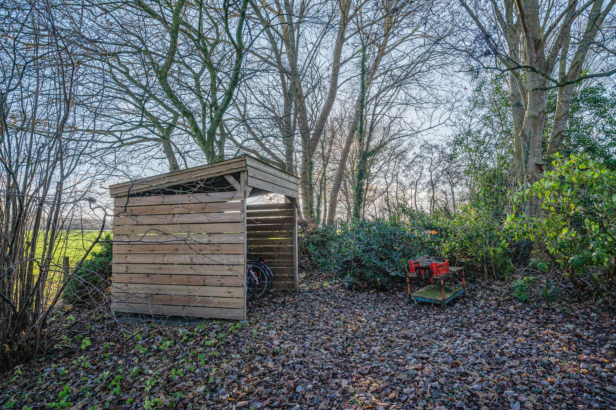 Foto 60 van Goldhoorn 25