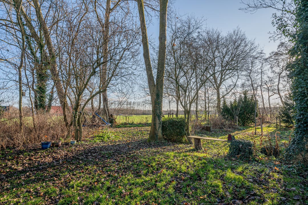 Foto 61 van Goldhoorn 25