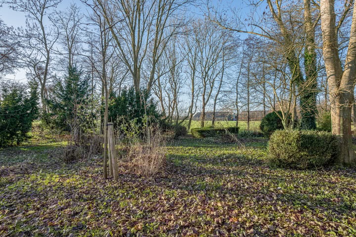 Foto 62 van Goldhoorn 25