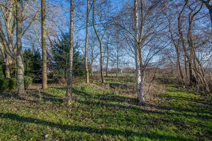 Foto 64 van Goldhoorn 25