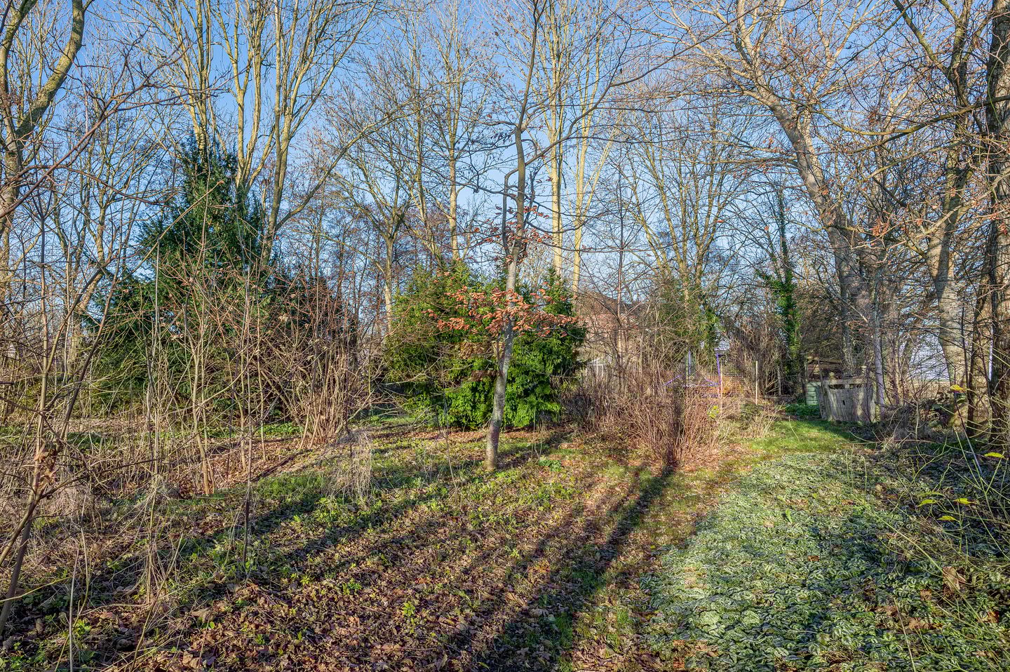 Foto 65 van Goldhoorn 25