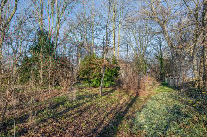 Foto 65 van Goldhoorn 25