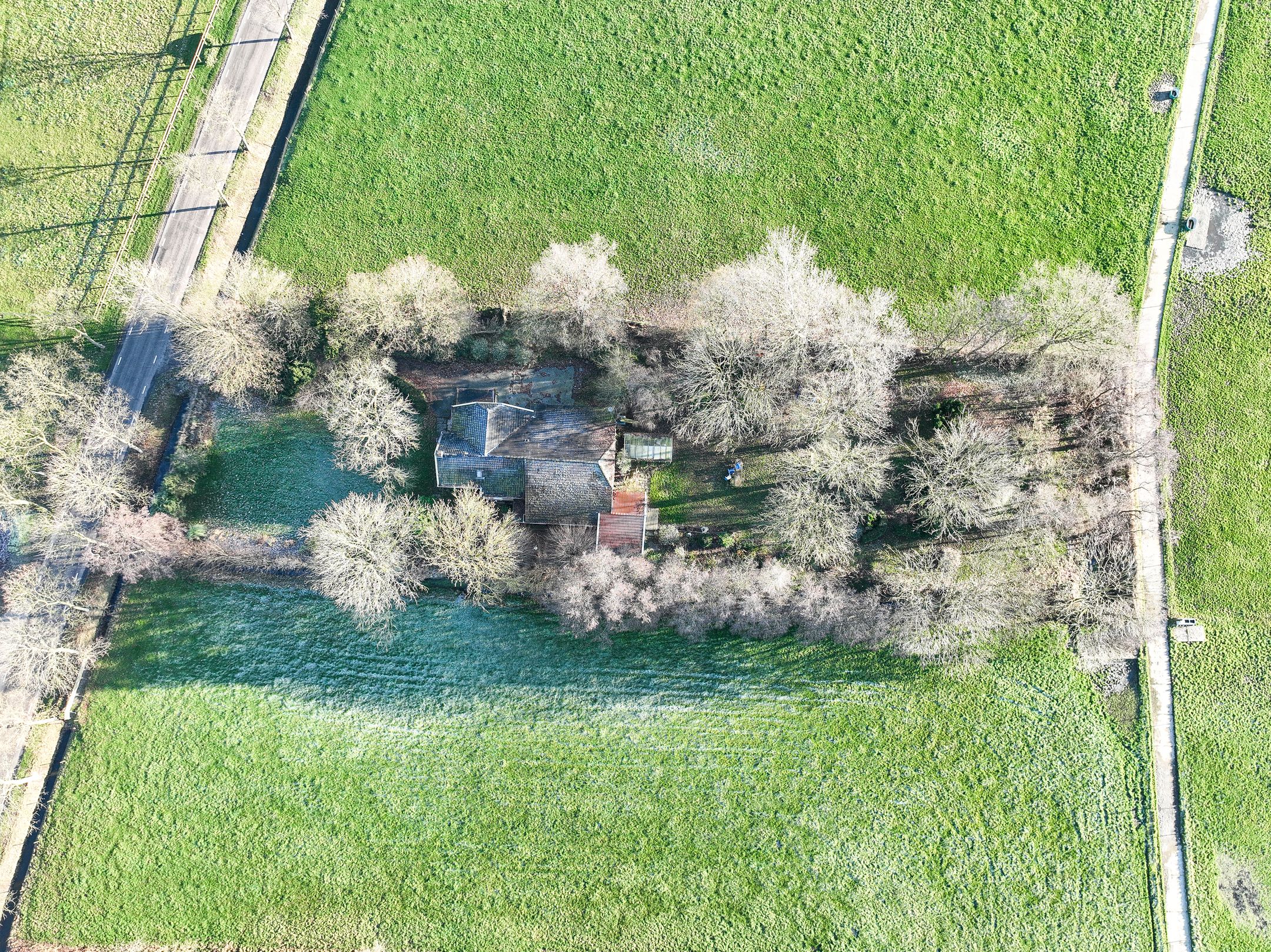 Foto 66 van Goldhoorn 25