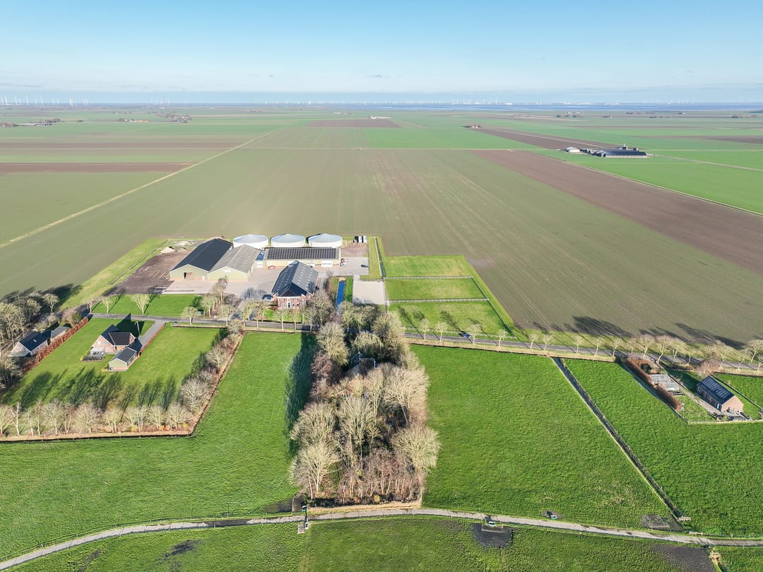 Foto 67 van Goldhoorn 25