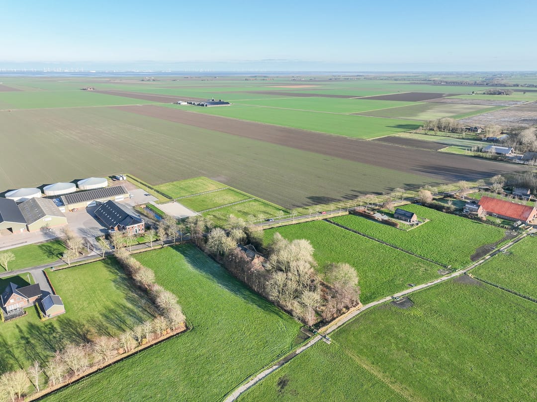 Foto 68 van Goldhoorn 25