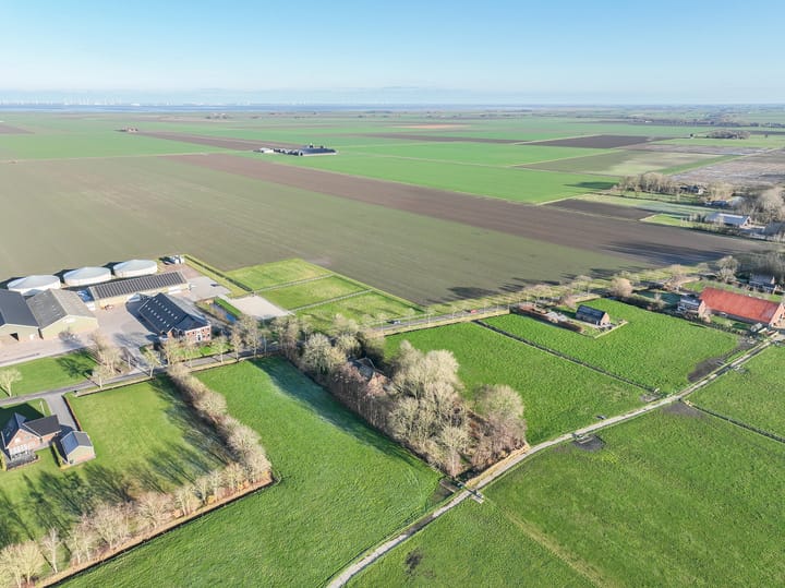 Foto 68 van Goldhoorn 25