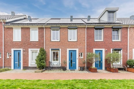 undefined main image