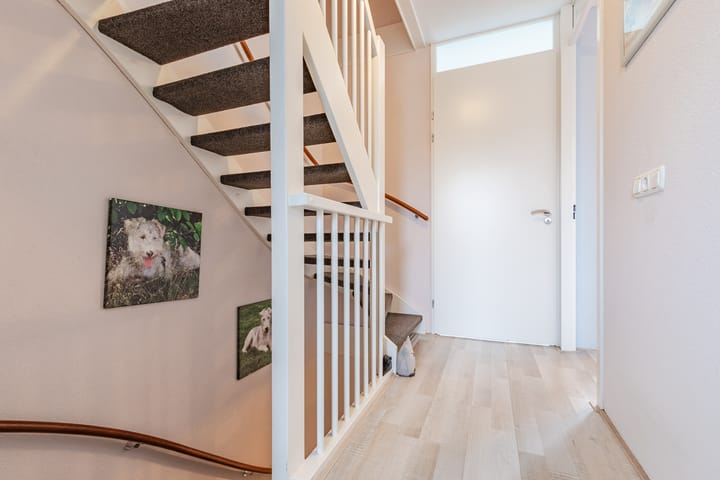 Foto 12 van Vestetuin 33