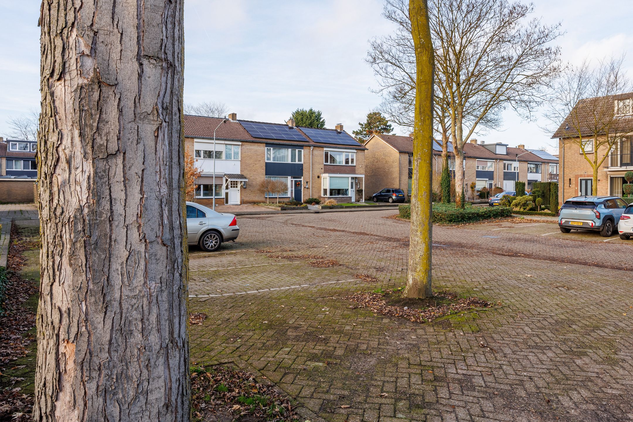 Foto 54 van Wingerdstraat 18