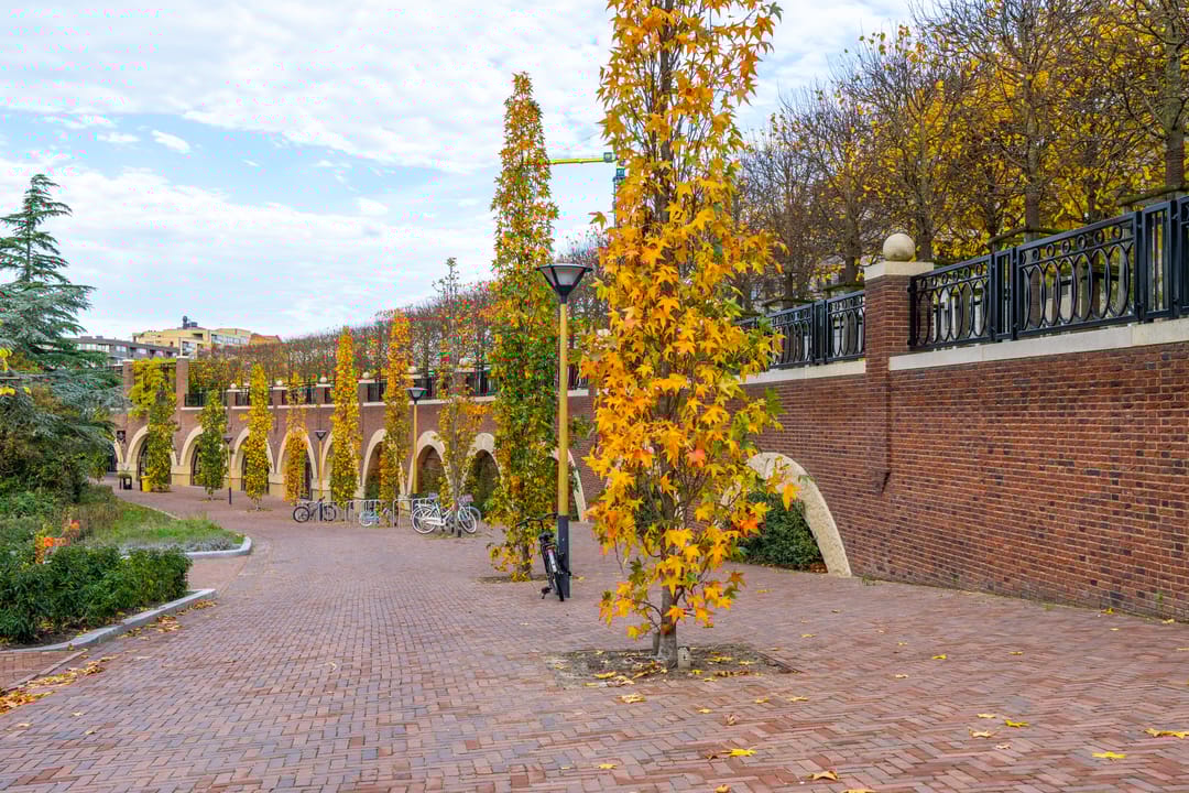 Foto 46 van San Marinostraat 71