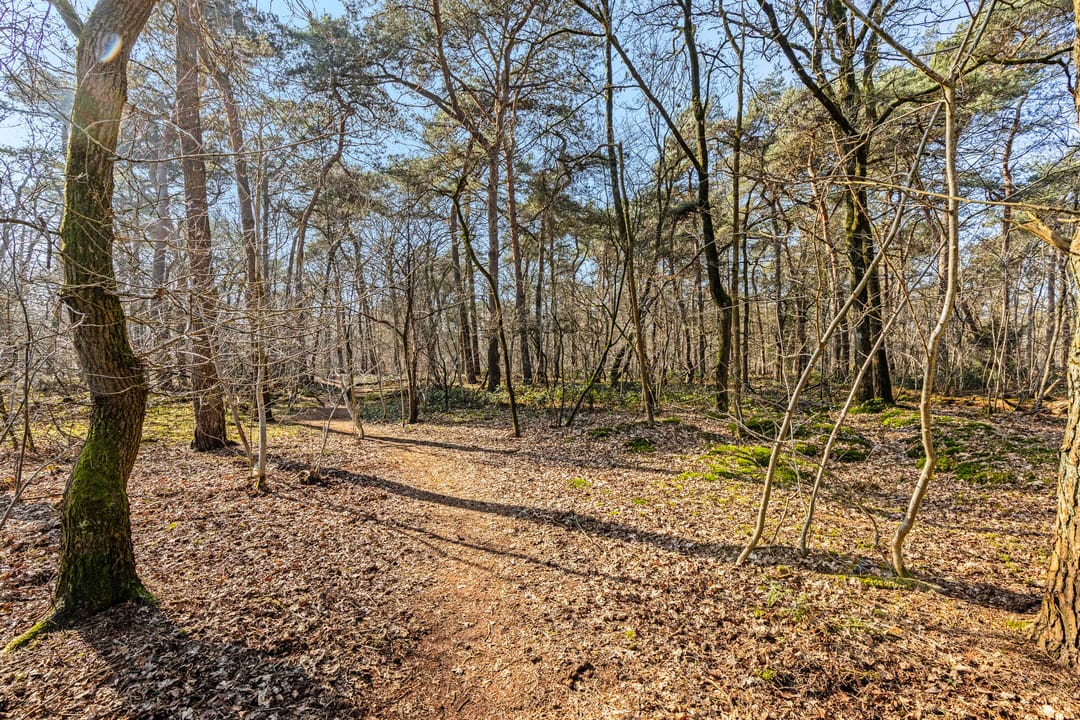 Photo 53 of Landkaartje 12