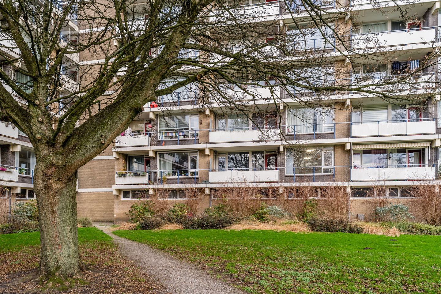 Foto 65 van Martin Luther Kinglaan 198