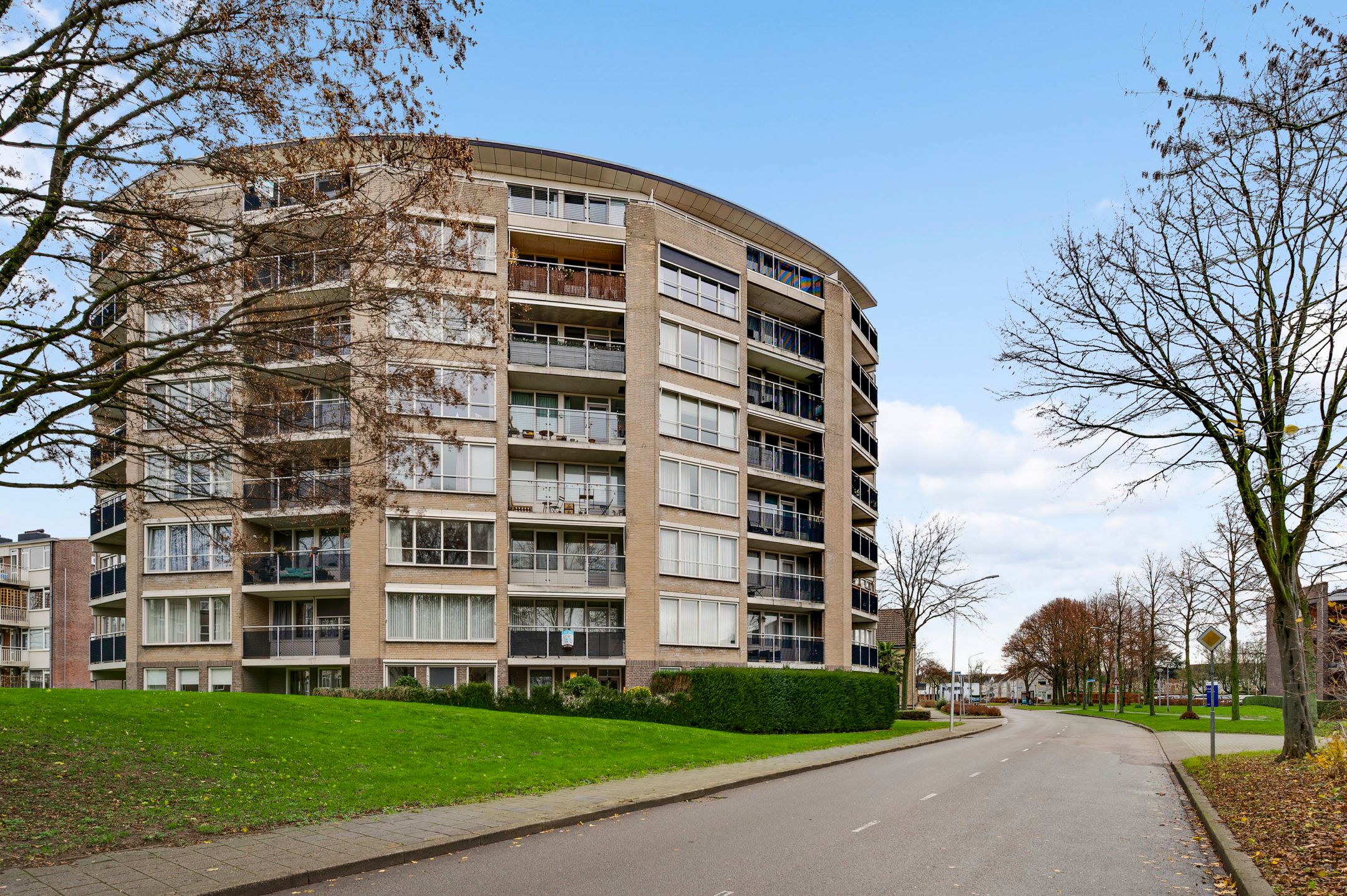 Salviabeemd 31-D 31 D