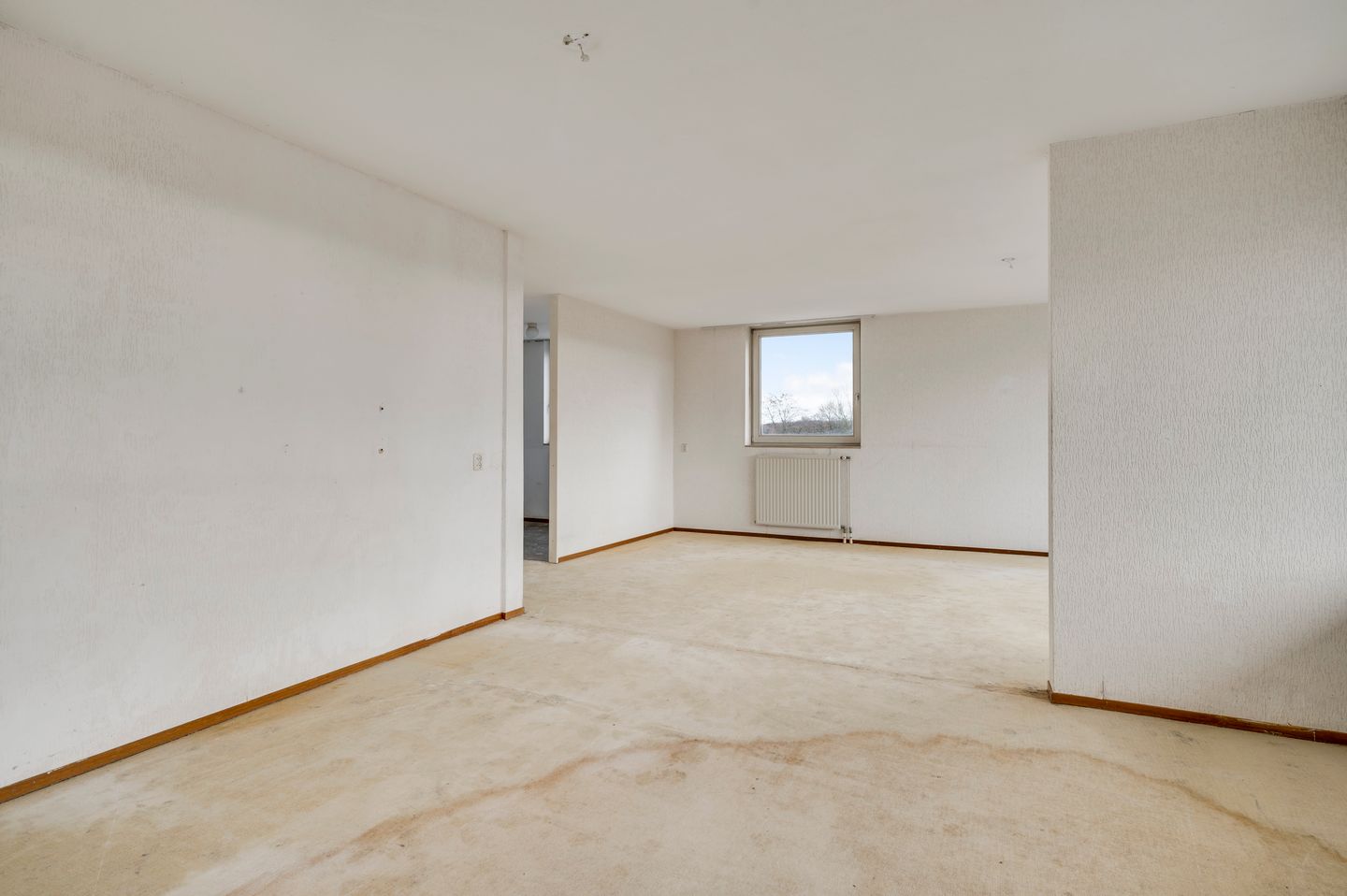 Foto 10 van Salviabeemd 31-D