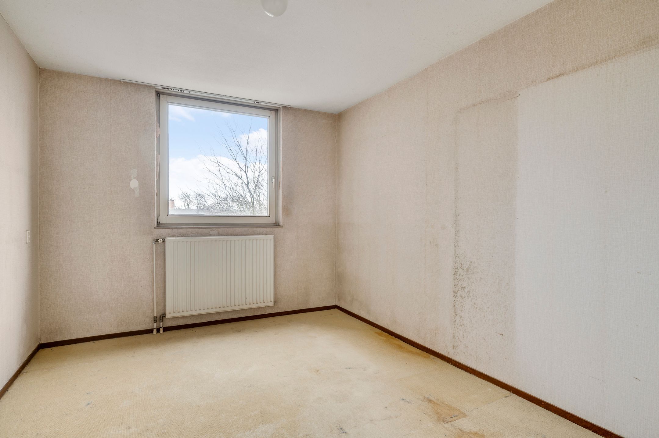 Foto 15 van Salviabeemd 31-D