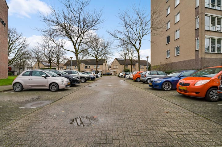 Photo 20 of Salviabeemd 31-D