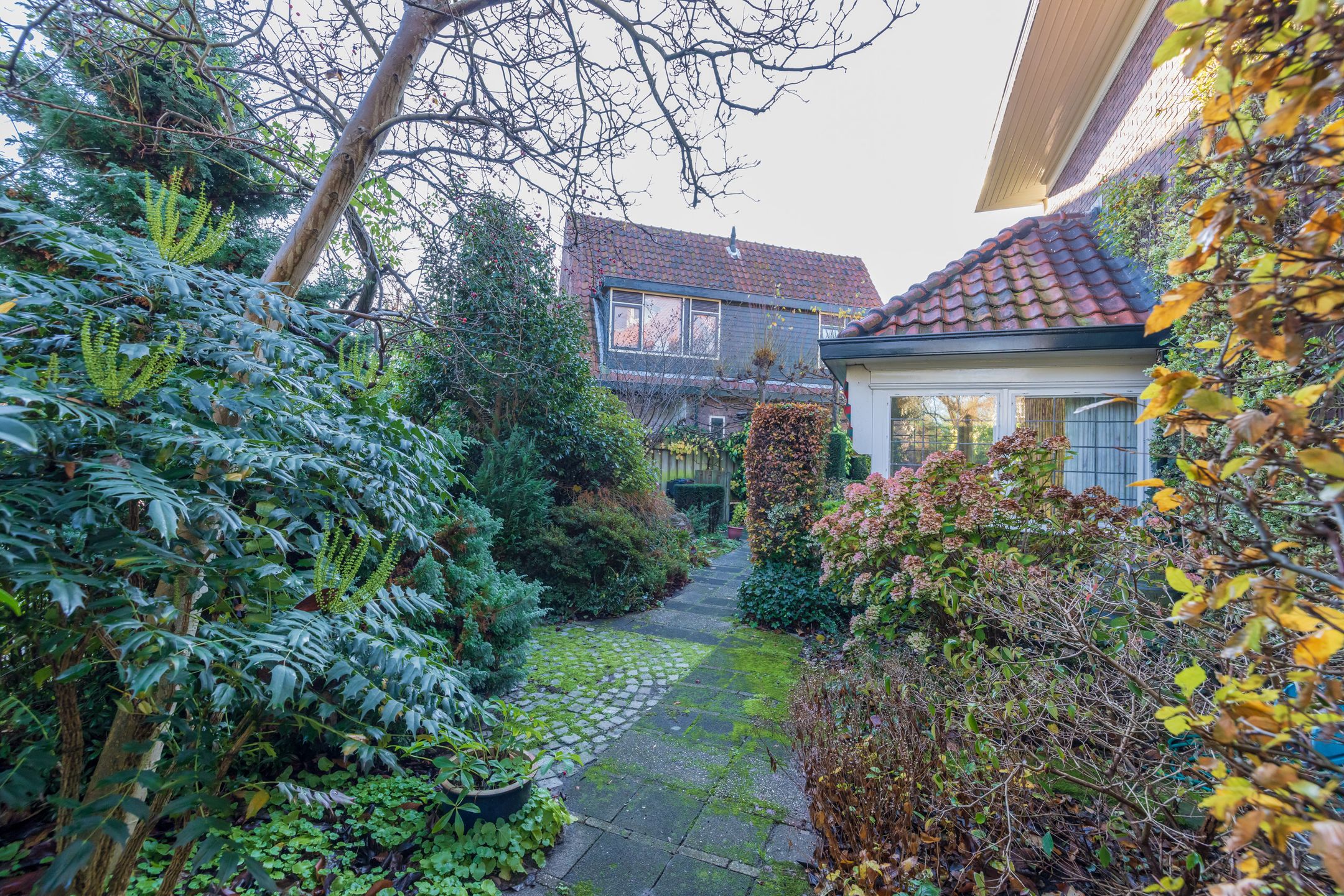 Foto 54 van Louise de Colignylaan 38