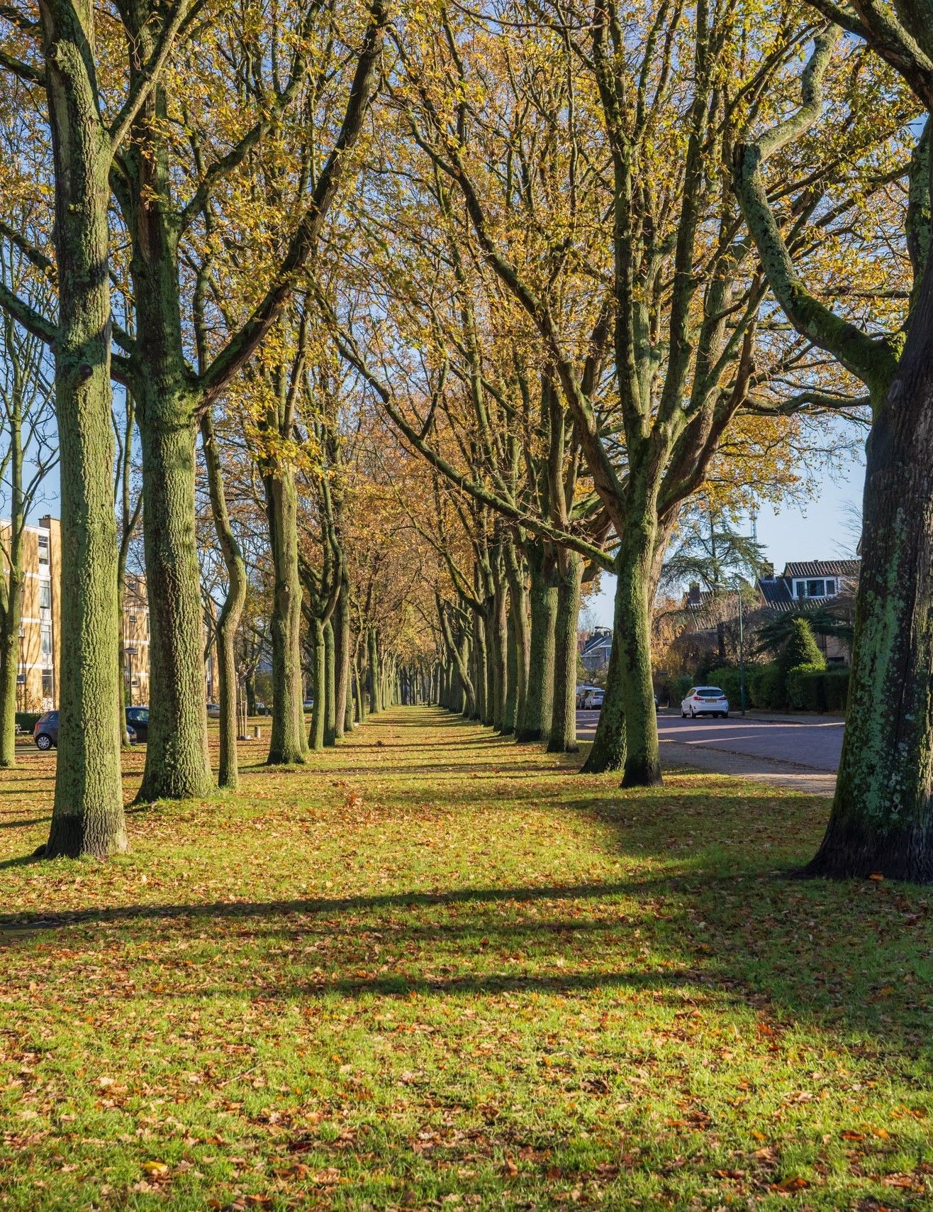 Foto 57 van Louise de Colignylaan 38