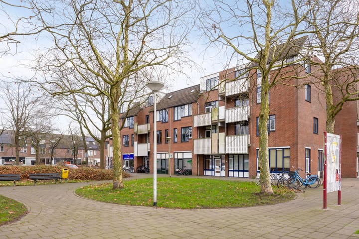 Foto 5 van Stuifzwam 72