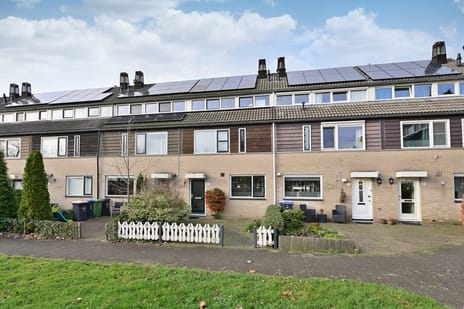 undefined main image