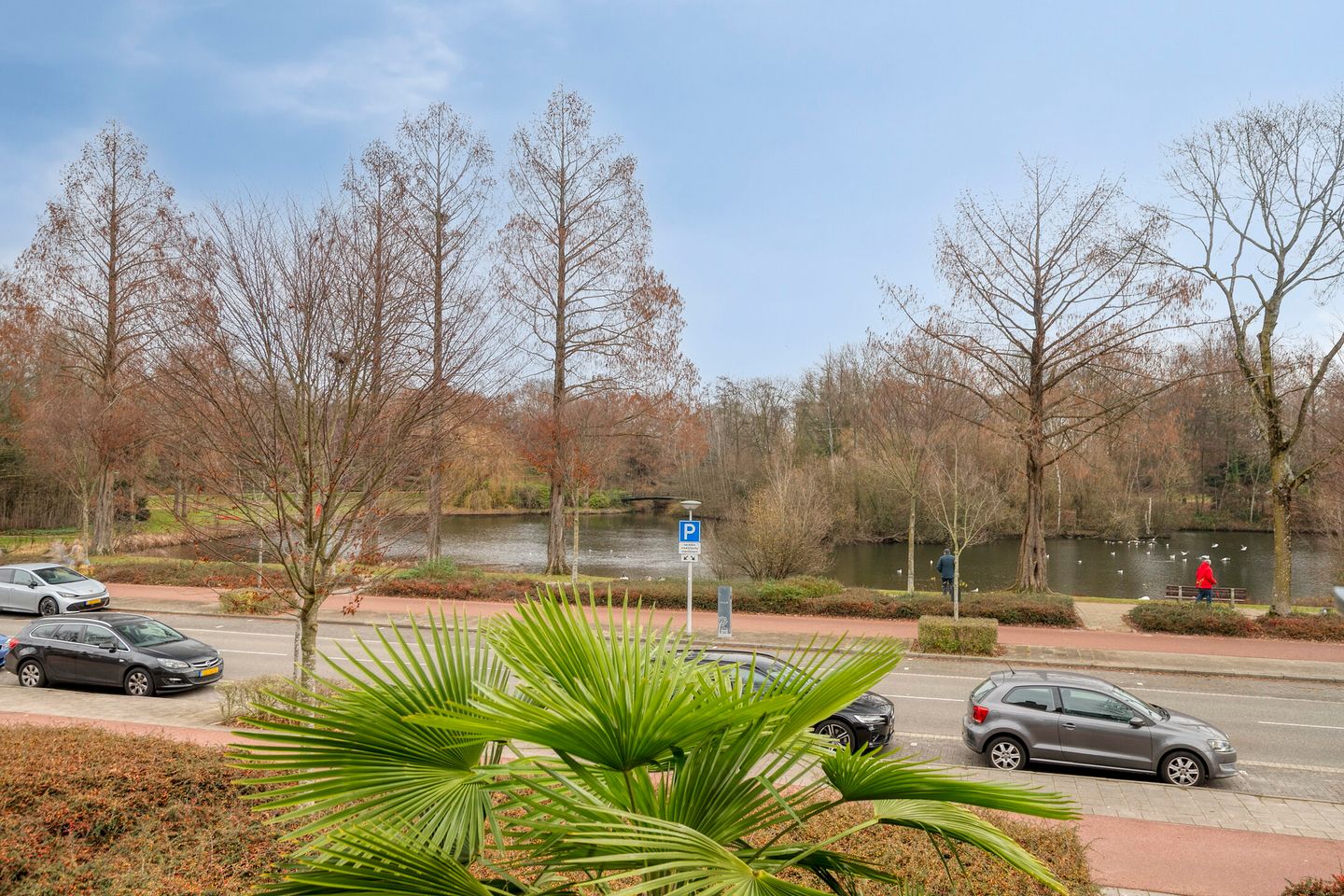 Foto 5 van Rode Kruislaan 99