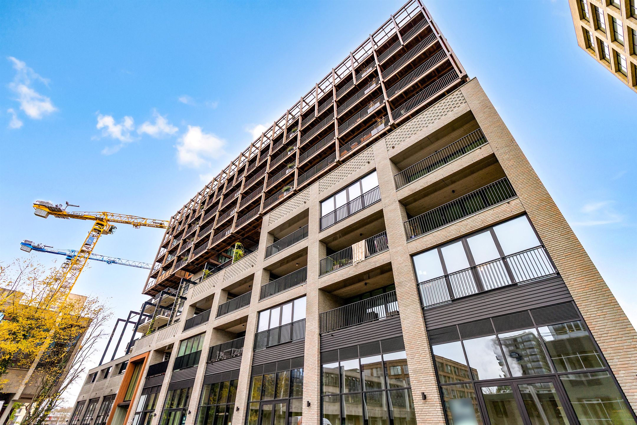 Foto 18 van Rijnlandlaan 279