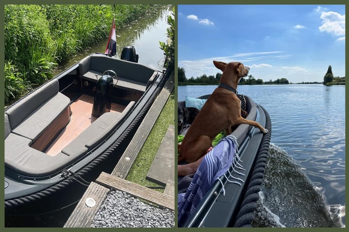 Foto 17 van Maasdijk 17