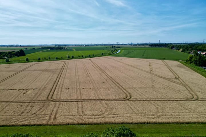 Foto 37 van Maasdijk 17