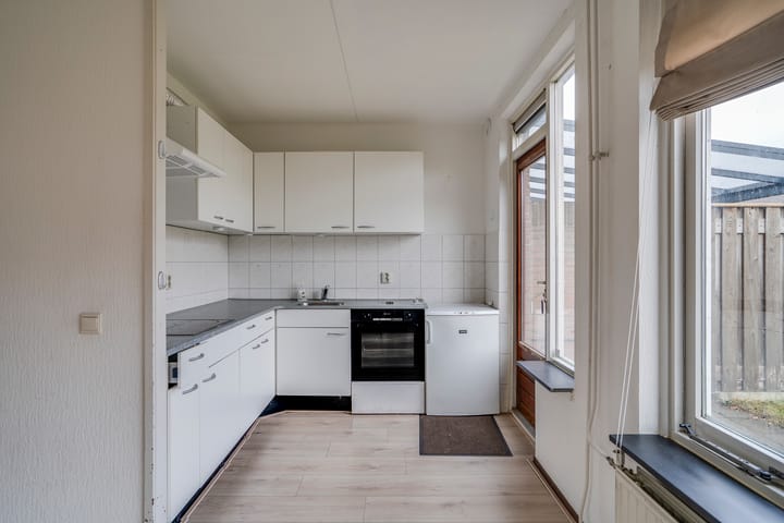 Photo 10 of Jan de Withof 9