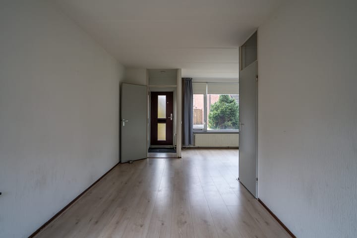 Photo 12 of Jan de Withof 9