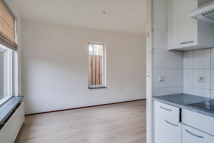 Photo 13 of Jan de Withof 9