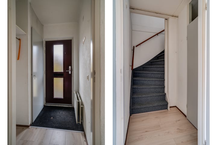 Photo 15 of Jan de Withof 9