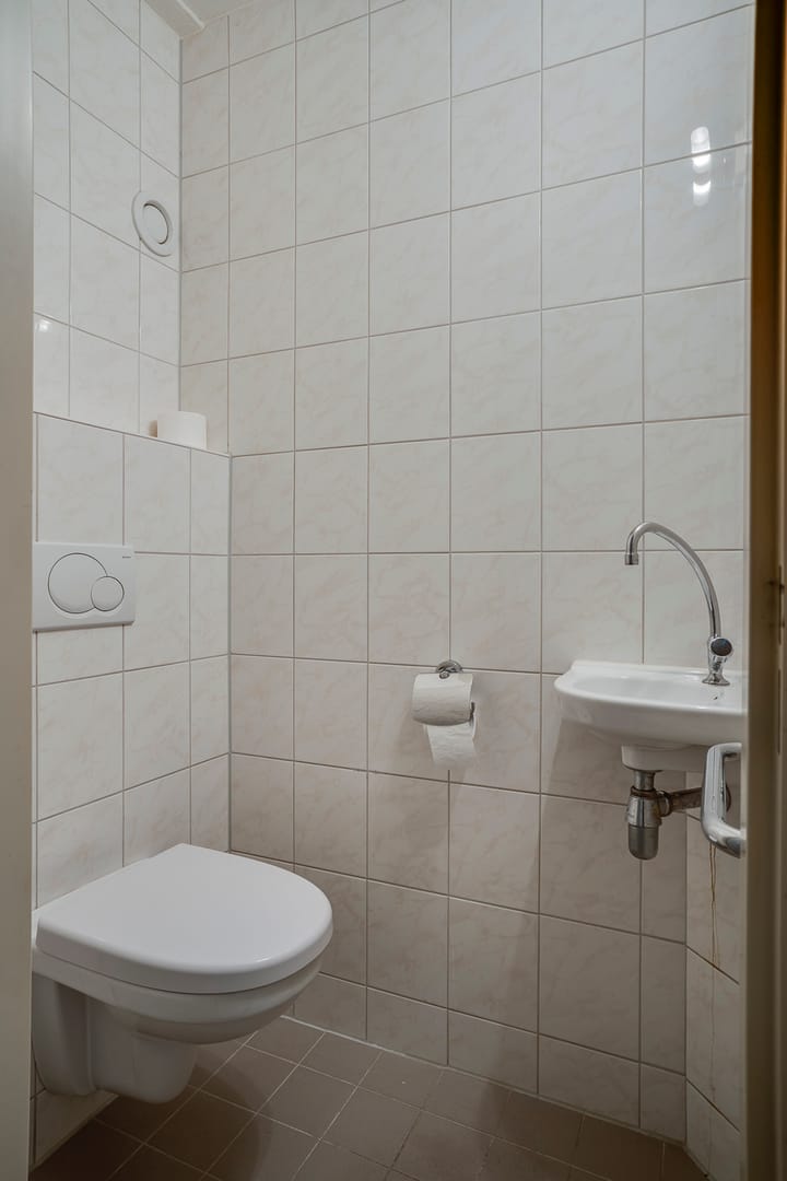 Photo 16 of Jan de Withof 9