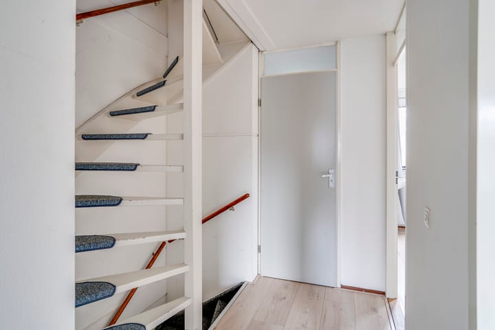 Photo 17 of Jan de Withof 9