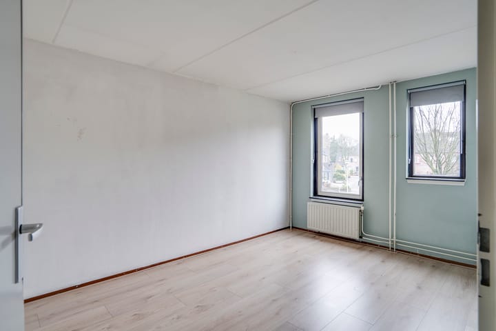 Photo 20 of Jan de Withof 9