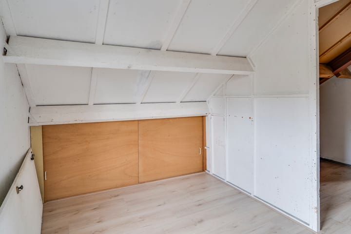 Photo 28 of Jan de Withof 9