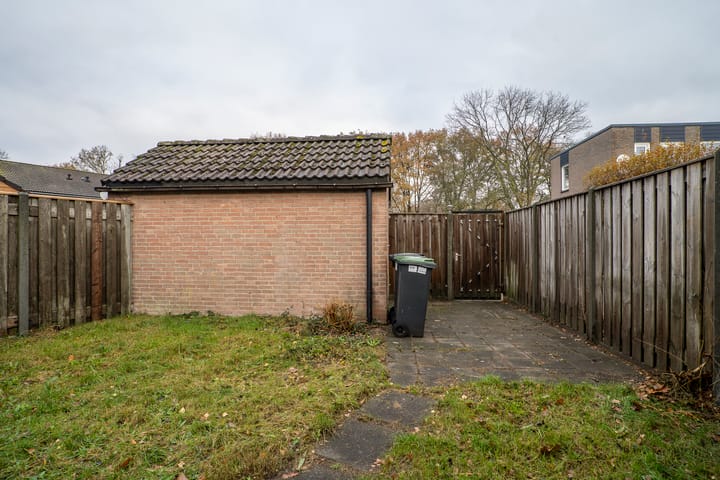 Photo 30 of Jan de Withof 9