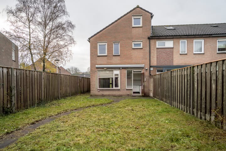 Photo 31 of Jan de Withof 9