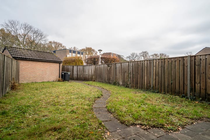 Photo 32 of Jan de Withof 9