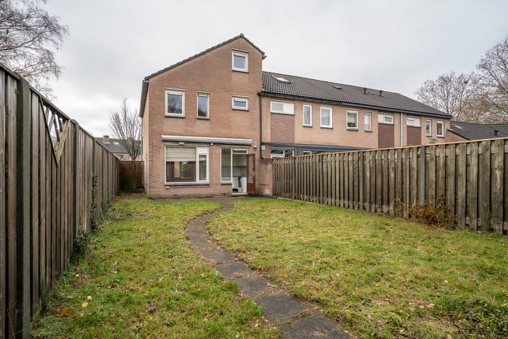 Photo 33 of Jan de Withof 9